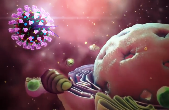 a candidate antibody for the virus