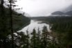 COVID self-sufficiency in great bear country