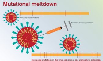 could we beat covid-19 at its own game