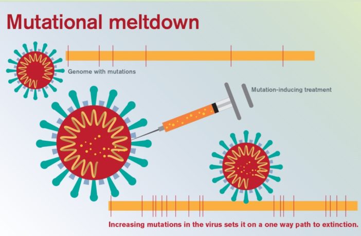 could we beat covid-19 at its own game