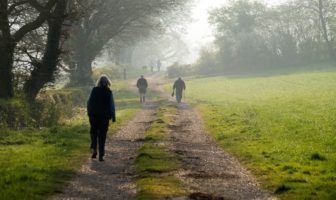 vocabulary of north american english