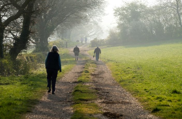 vocabulary of north american english