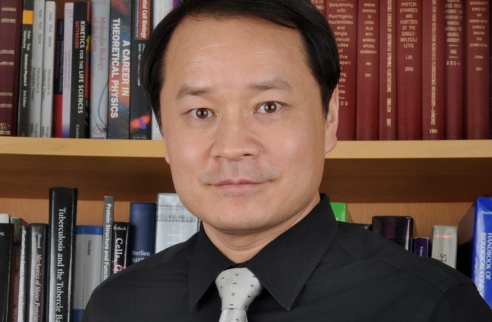 stopping the coronavirus without a vaccine