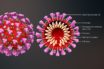 understanding a virus on human terms