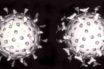 anatomy of a virus