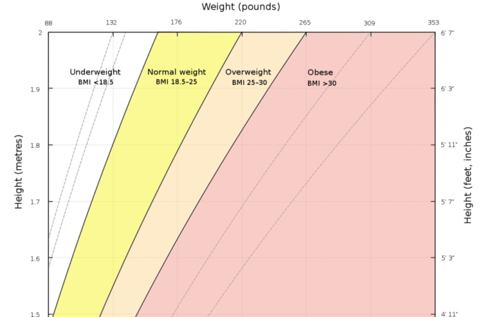 obesity may make COVID-19 more extreme