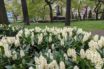 will work from home change city landscapes