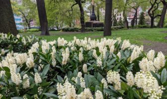 will work from home change city landscapes