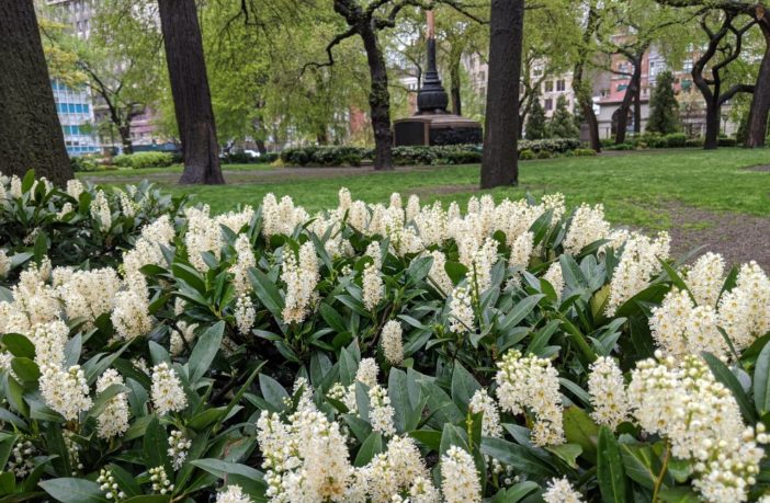 will work from home change city landscapes