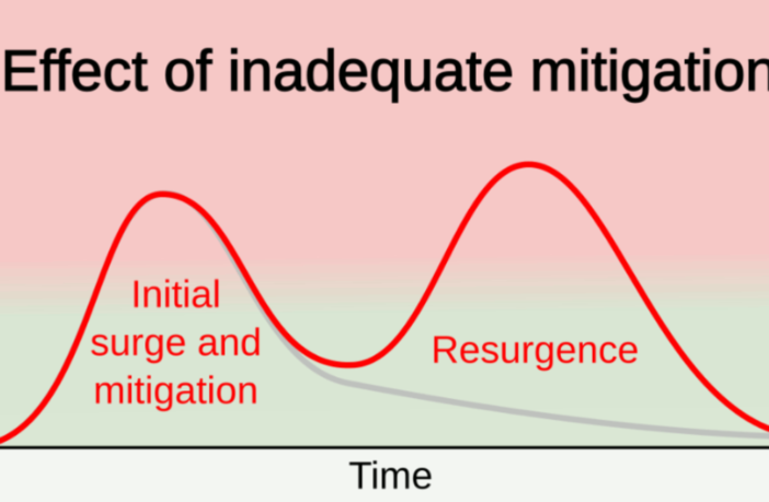 how a covid-19 epidemic peak works