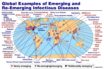 asymptomatic Covid-19 spread may be rare