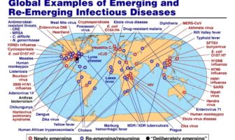 asymptomatic Covid-19 spread may be rare