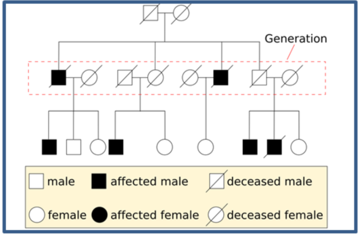 the role of genetics in covid-19 infections