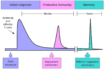 how COVID-19 affects different age groups