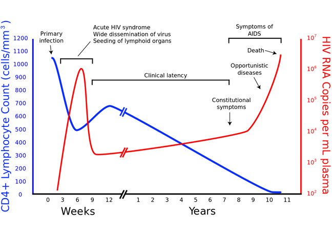 covid-19 risk factors associated with hiv
