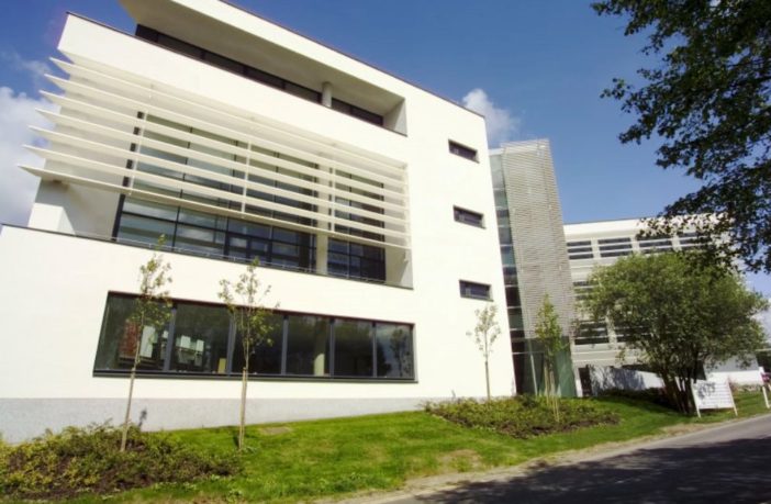 oxford university dexamethasone trial