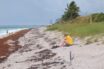 advice for beachgoers during virus spread