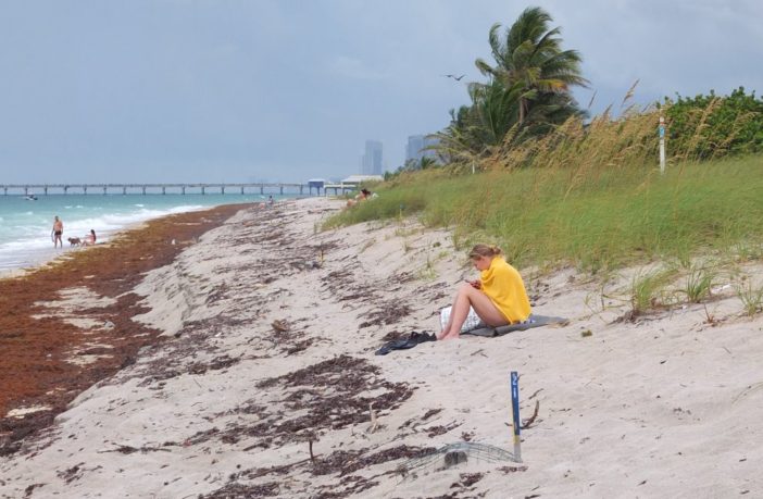 advice for beachgoers during virus spread