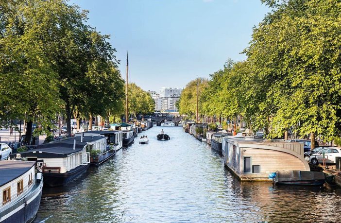 remote working lessons from the netherlands