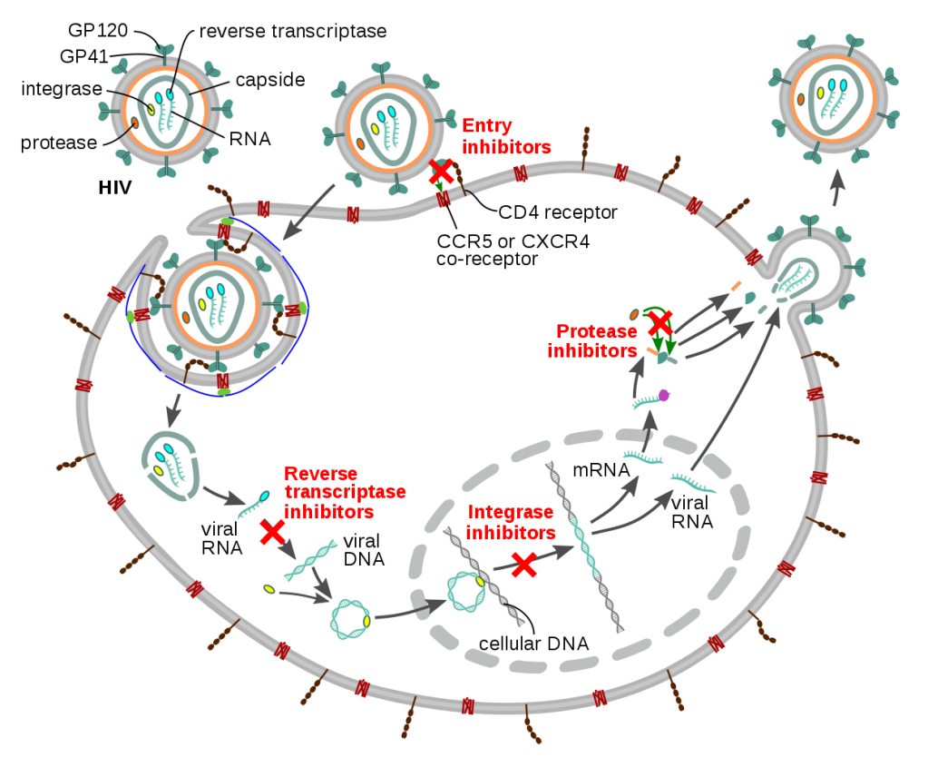 covid-19 risk factors associated with hiv