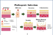complicating factors for covid-19 in the fall
