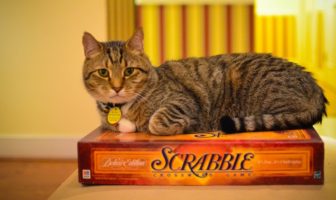 covid advice for senior people