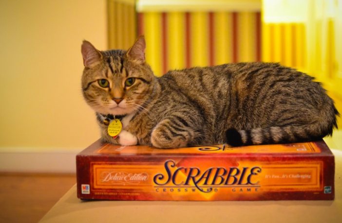 covid advice for senior people