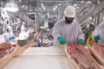 face coverings in meat and poultry facilities