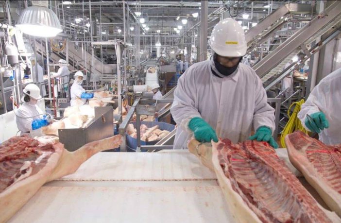 face coverings in meat and poultry facilities