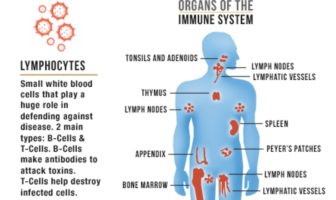 does immunity depend of gravity of illness