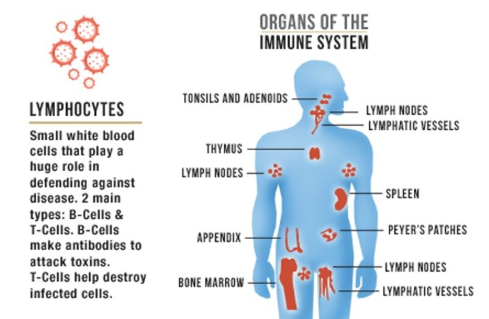 does immunity depend of gravity of illness