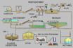 chasing the coronavirus down sewers