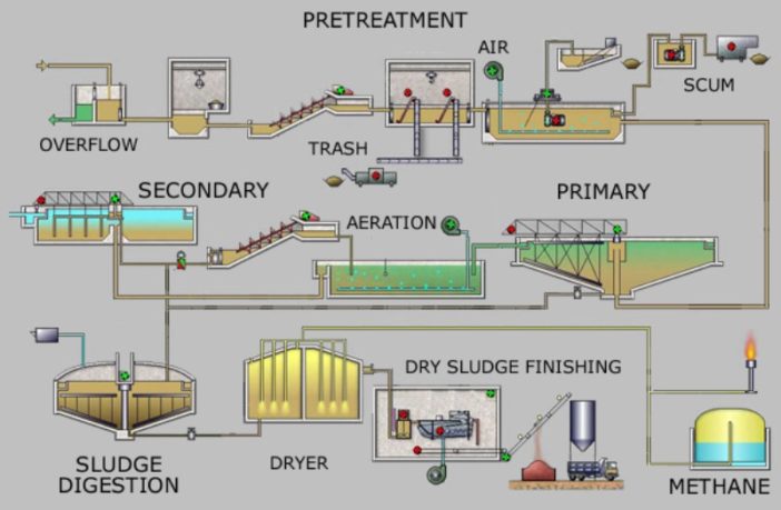 chasing the coronavirus down sewers