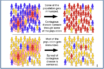 farewell to herd immunity from covid-19