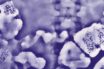 linking covid-19 and gastro infections