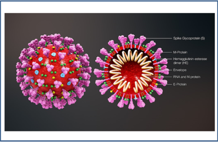 covid-19 can’t resist soap and water