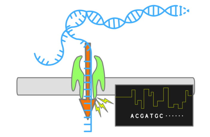 90-minute tests distinguish flu from covid