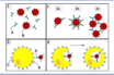 antibody tests as checks for past infections