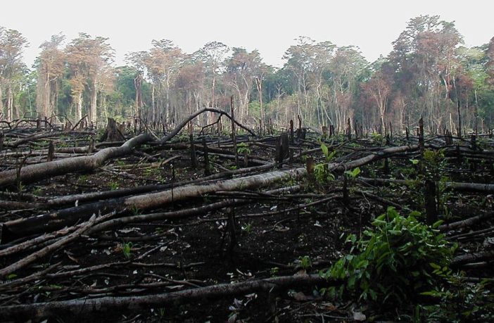 popular pathways of microbes