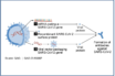 virally vectored dna and mrna vaccines