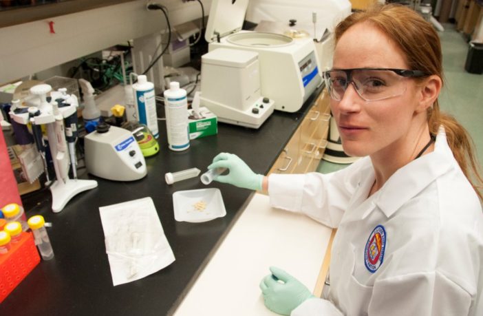 Infectious diseases, viruses and bacteria