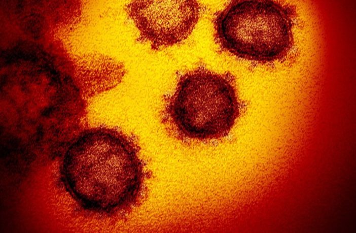 two different varieties of the virus