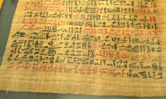 covid may be (harmlessly) with us forever