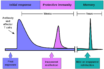 four scenarios for covid-19