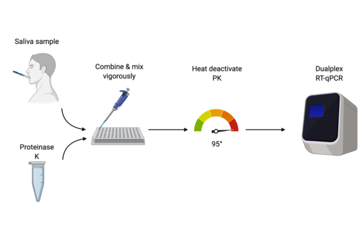 emergency approval of yale saliva test