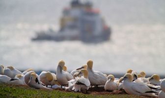 simple things to remember during surges