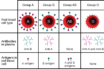 blood type could affect covid-19
