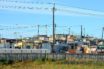 impact of poverty on COVID-19 deaths