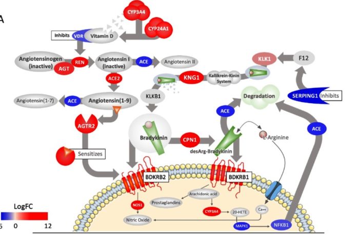 supercomputer tapped into covid-19’s mind