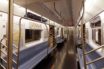 viruses are our fellow travelers on subways